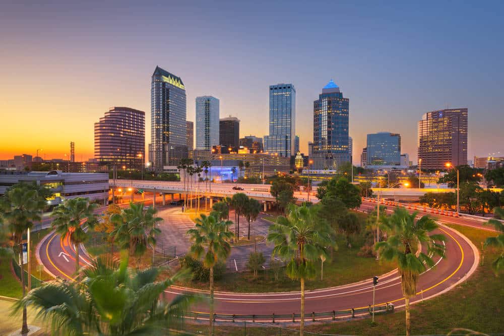 Trusted Virtual Assistant Services in Tampa, FL